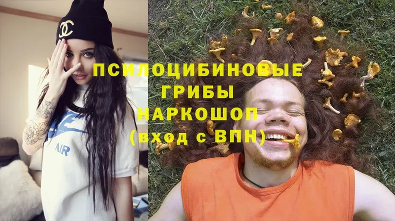 Галлюциногенные грибы Psilocybe  Ефремов 